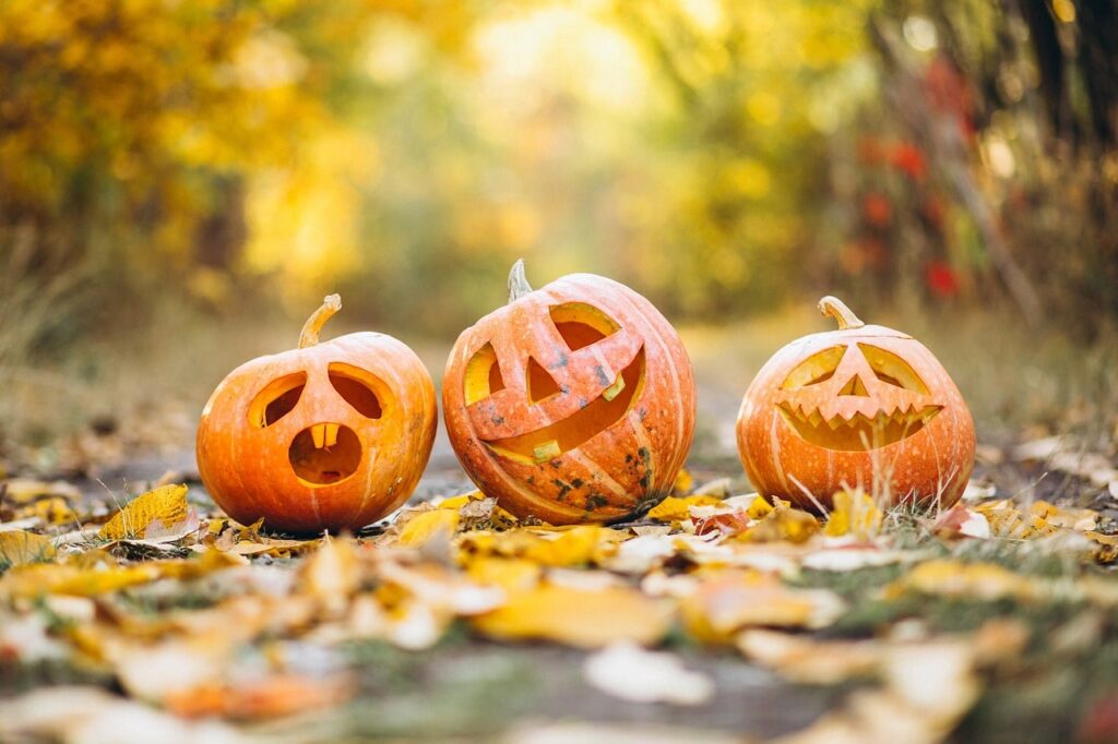 zucche e decorazioni per una festa di Halloween in location all'aperto